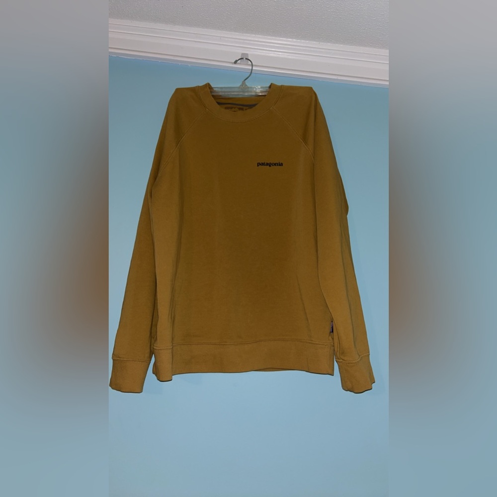 Men’s Patagonia Sweatshirt